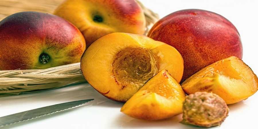 frutas familia del melocotón