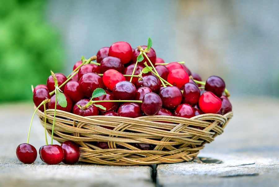 cerezas