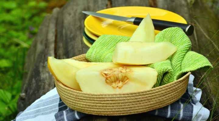 comprar melón en león