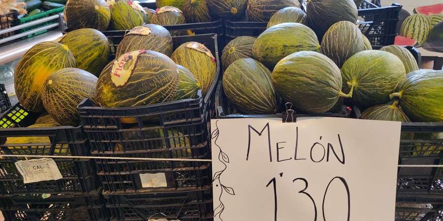 precio del melon