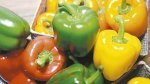 Pimiento-morrón
