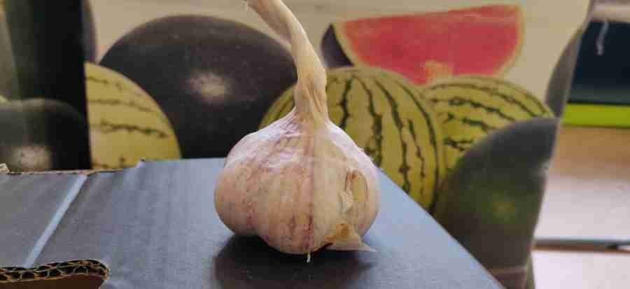 nutrientes de ajo