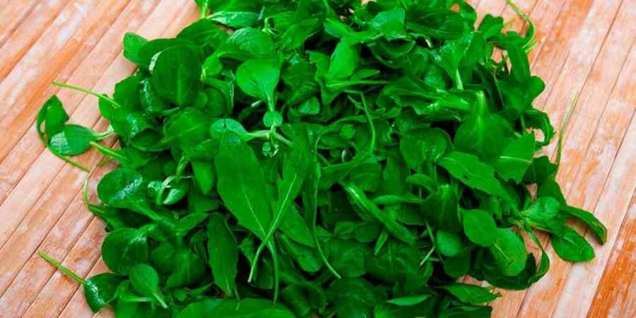 comprar-lechuga-canonigos-leon-en-frutas-y-hortalizas-blanco