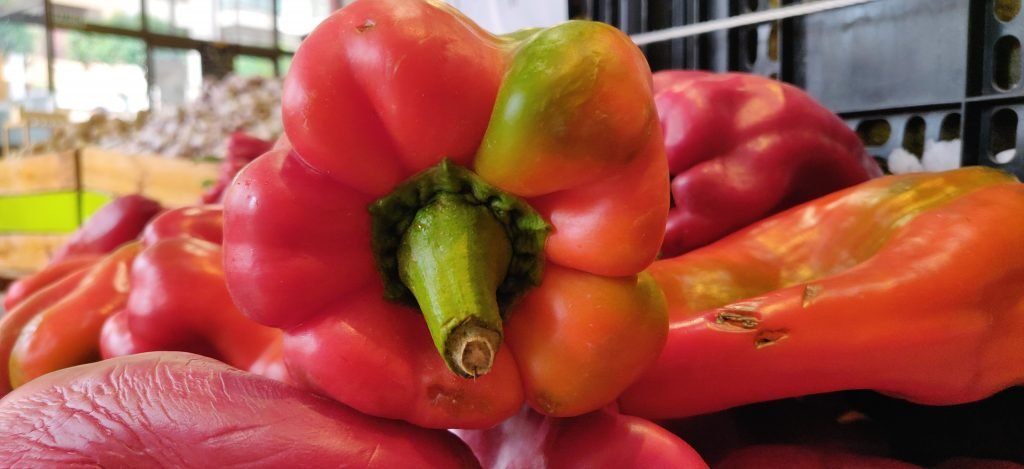 comprar-pimiento-leon-frutas-y-verduras-blanco