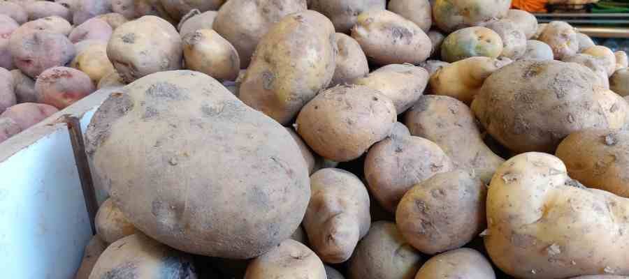 patatas