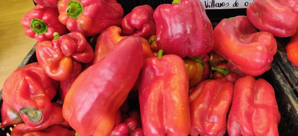 pimiento-leon