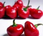 pimiento-ñora