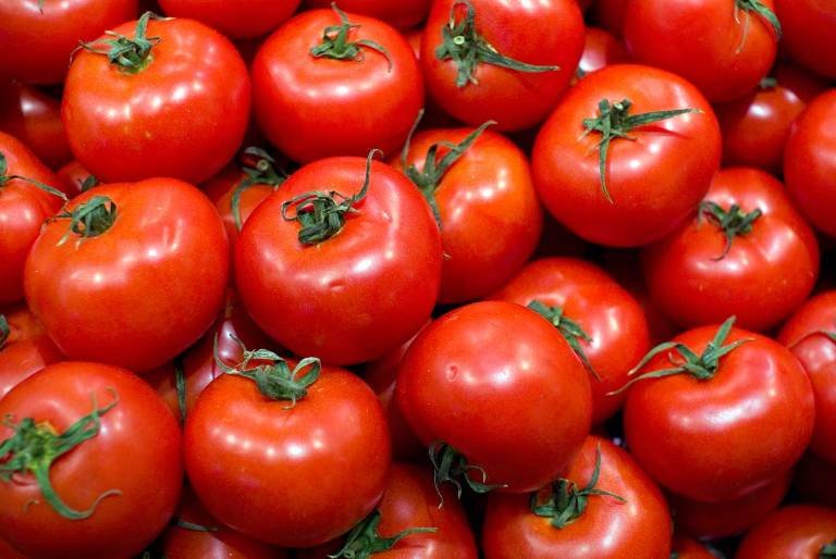 tomate-dan-ronc