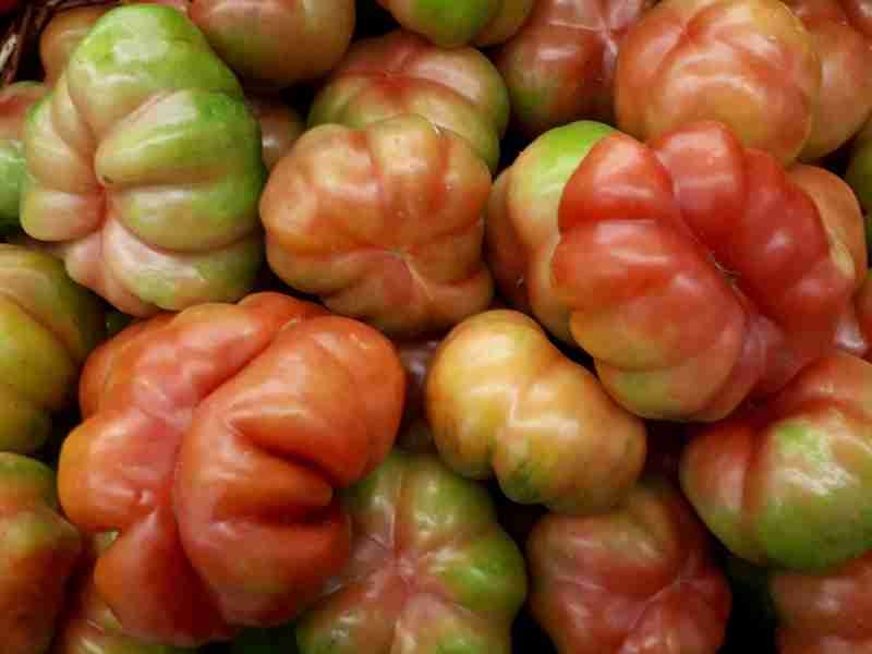 tomate-montserrat