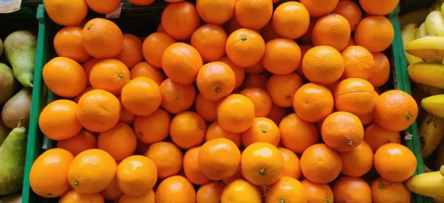 comprar naranjas de valencia en fruteria leon