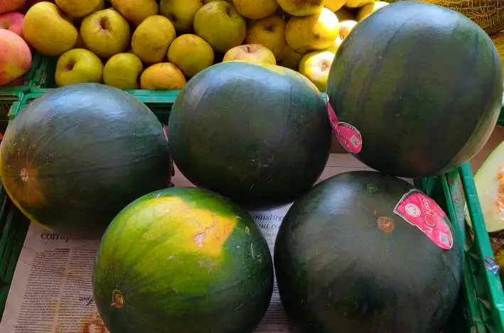 comprar sandía en frutería Blanco León