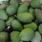 comprar aguacate en frutería león