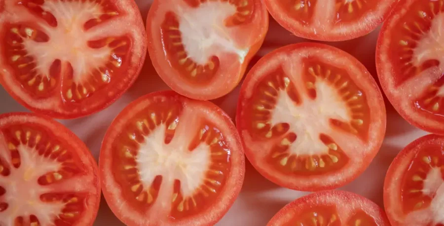 cuchillo para cortar tomate al mejor precio