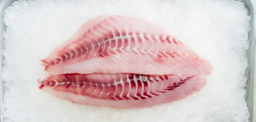 comprar Cuchillo Lenguado pescado al mejor precio
