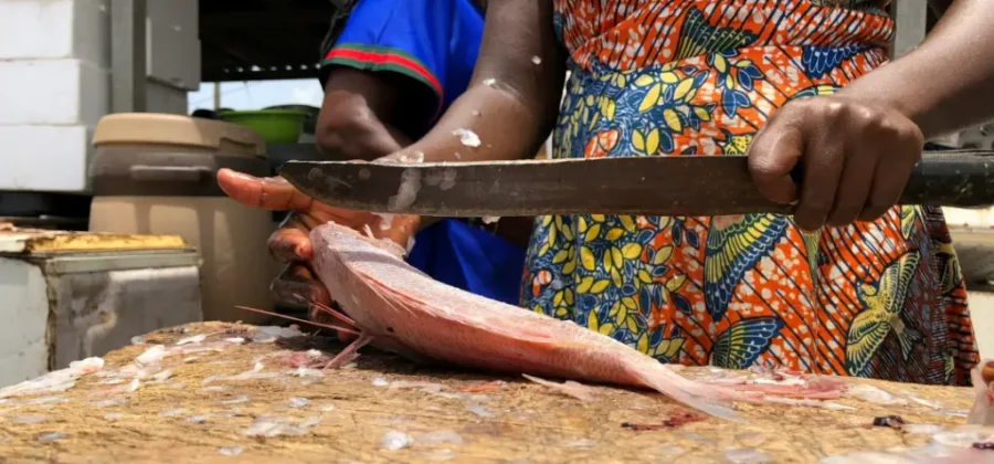 comprar cuchillo pescado en leon al mejor precio